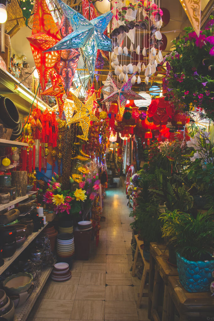 Bamboo Village, a plant, ceramic, joss, and bamboo goods store at 135 East Pender Street. Picture features colourful houseplants and spring decorations, along with ceramic flower pots.